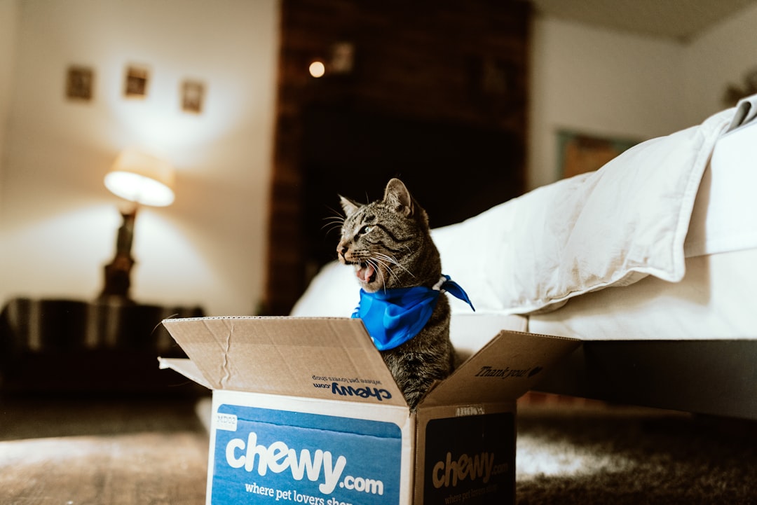 Photo Litter box